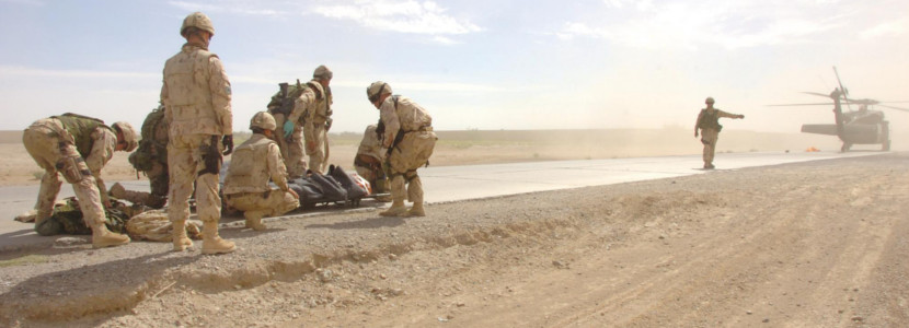 Canadian Institute for Military and Veterans Health Research image