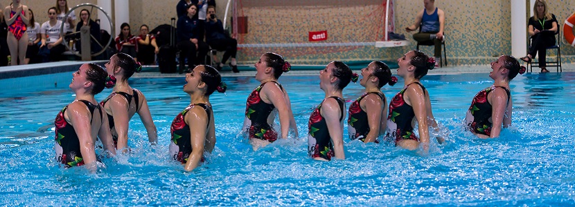 Synchronized Swimming image